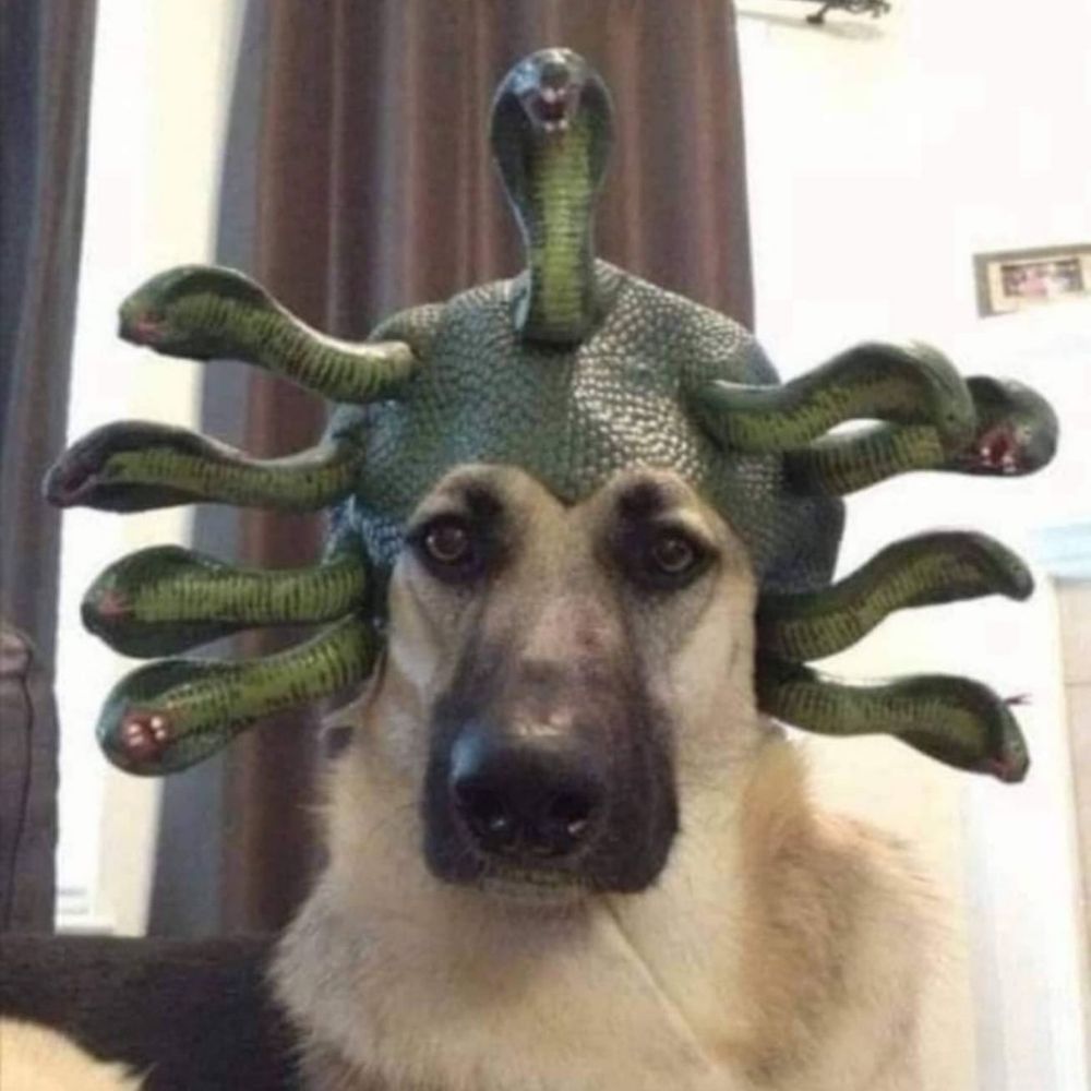 LargaTixa