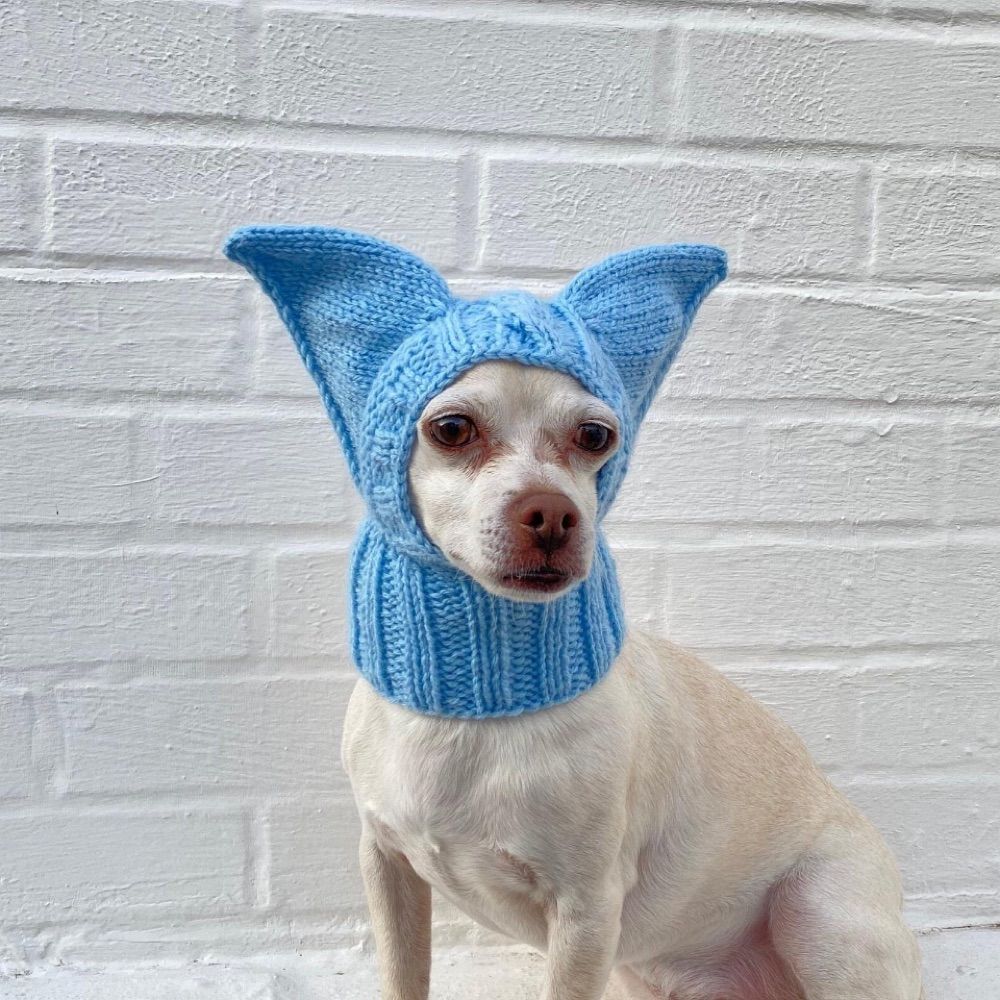 I am Bark.