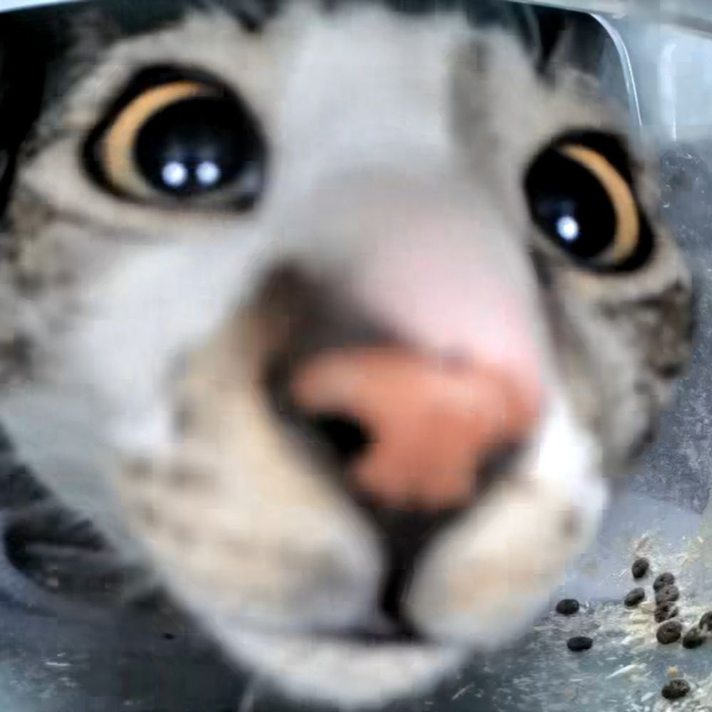 Miau.