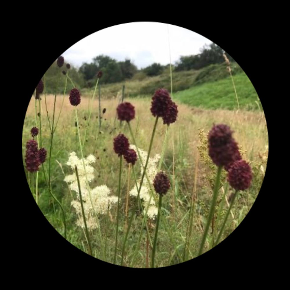 Wenning Valley Nature Reserve