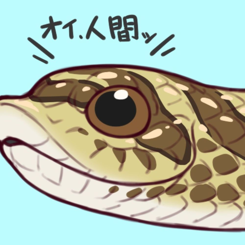 マタンゴ