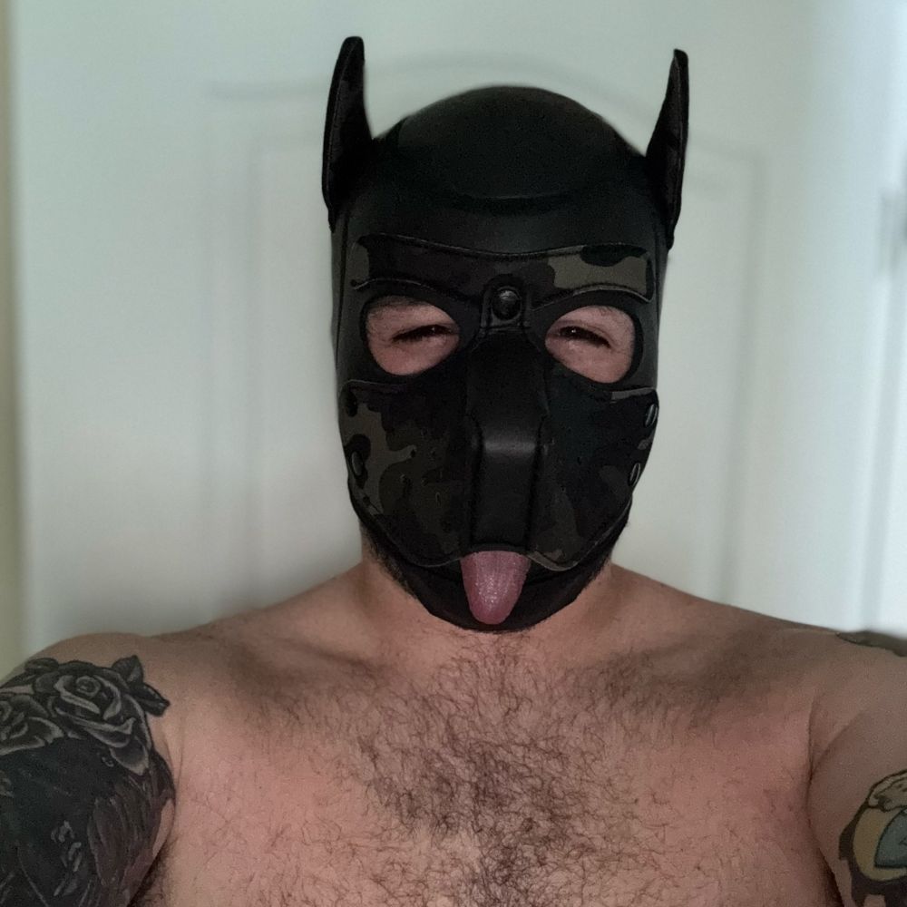 FurryPiercedCub