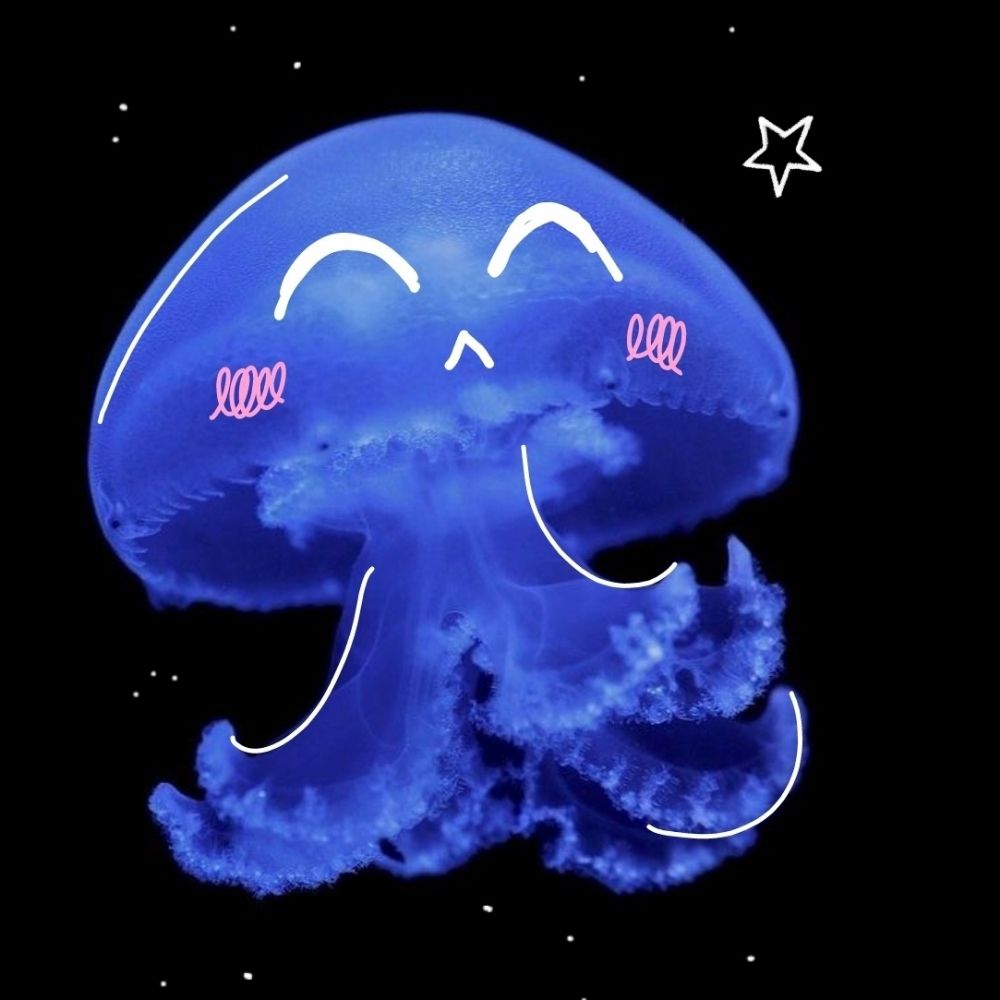 Fuinmerel Jellyfish