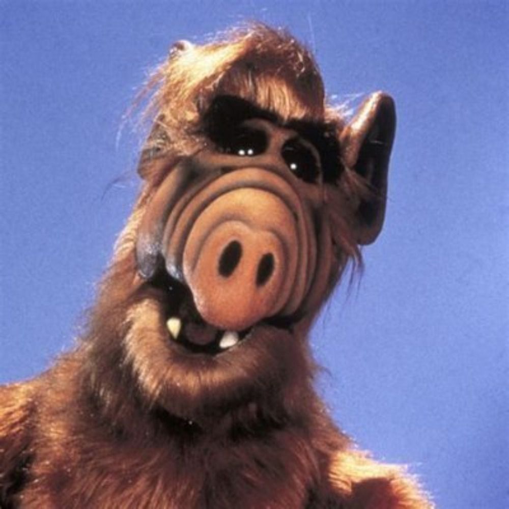 Alf