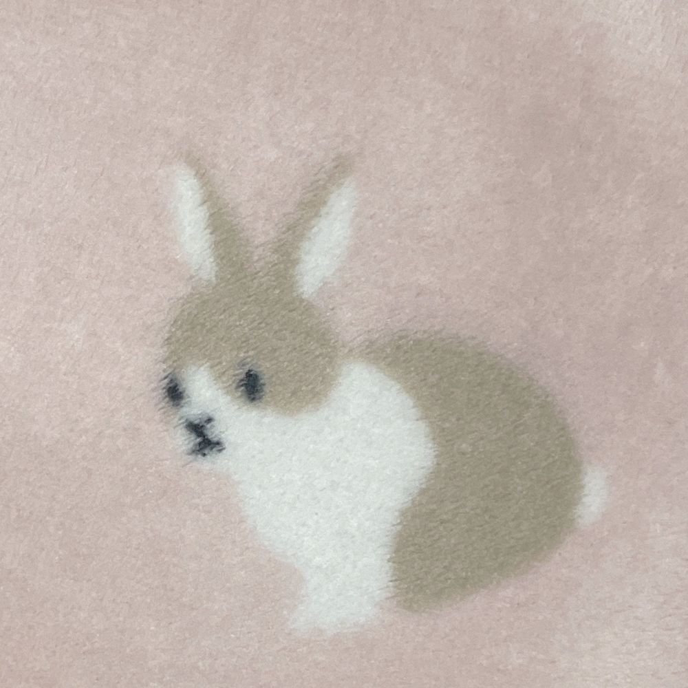 莵