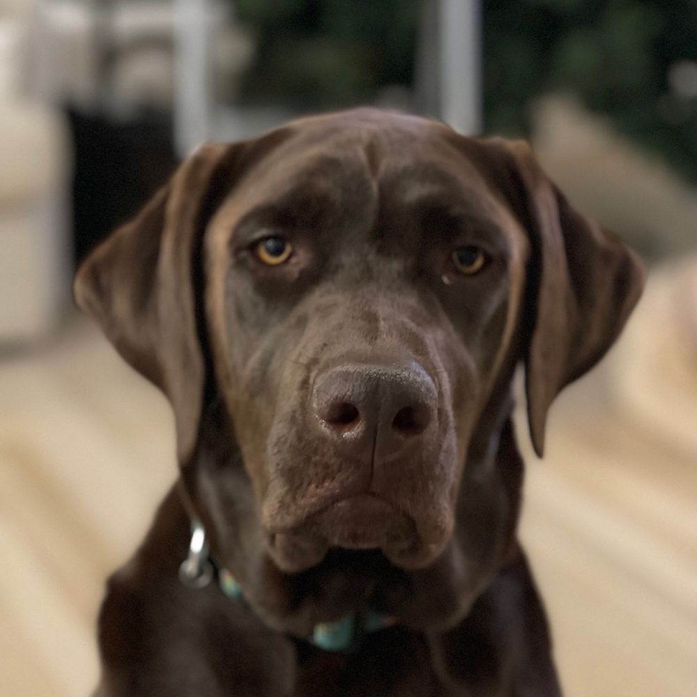 Linc