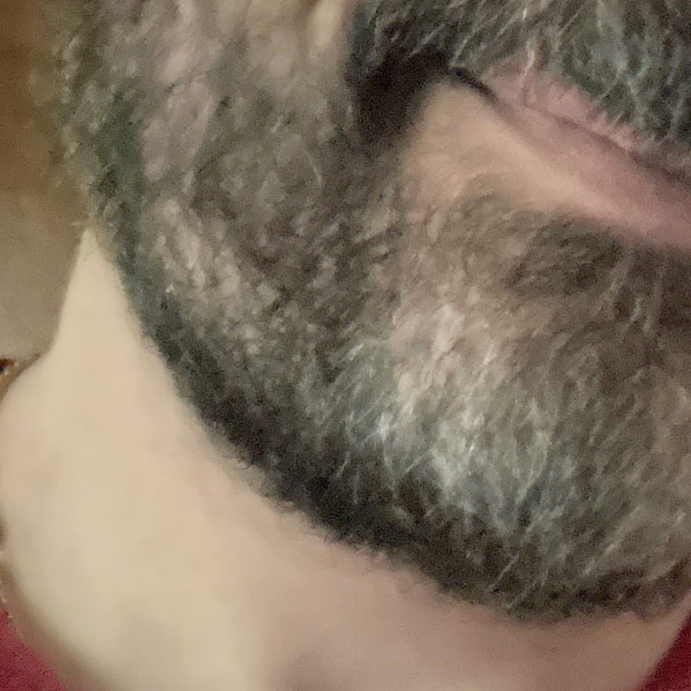  Bator Daddy