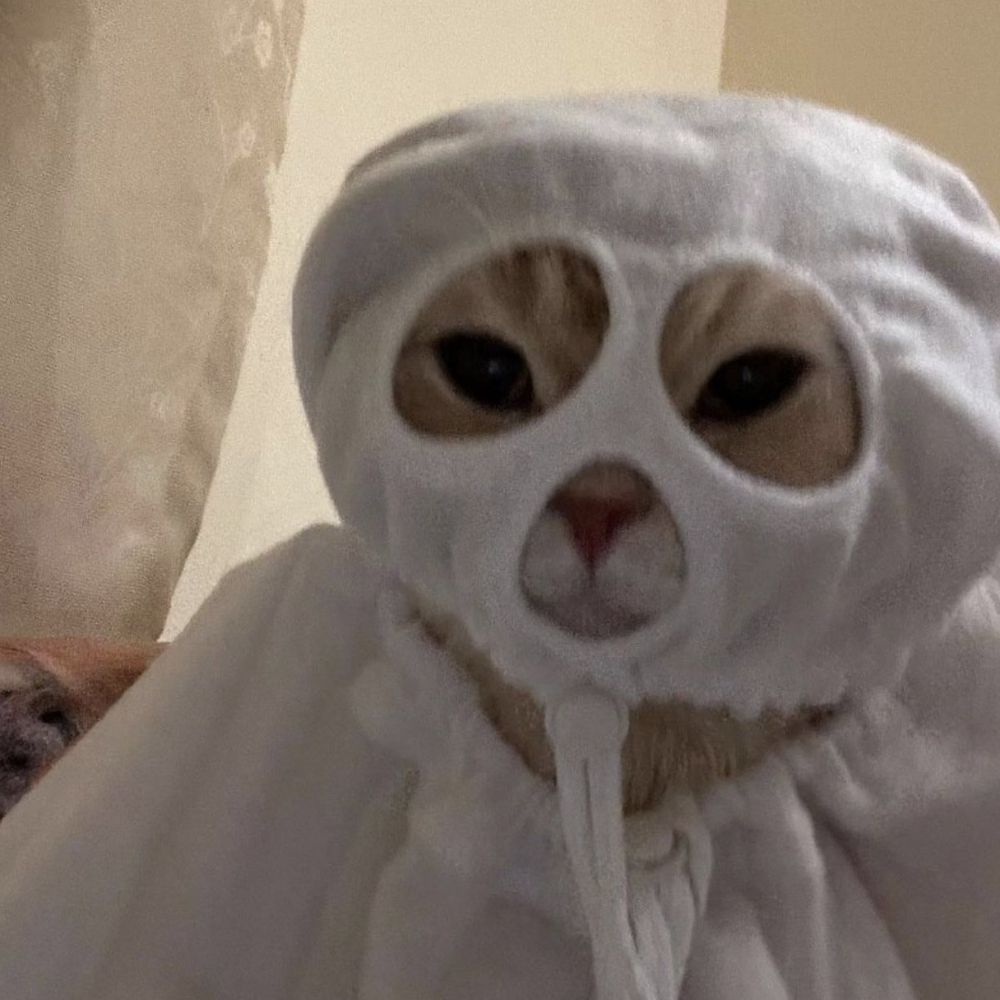 Certamente não é o pão