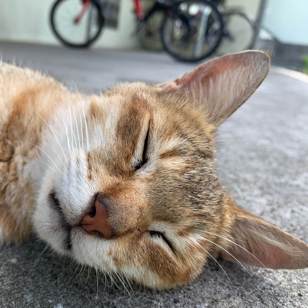 やまっぴ