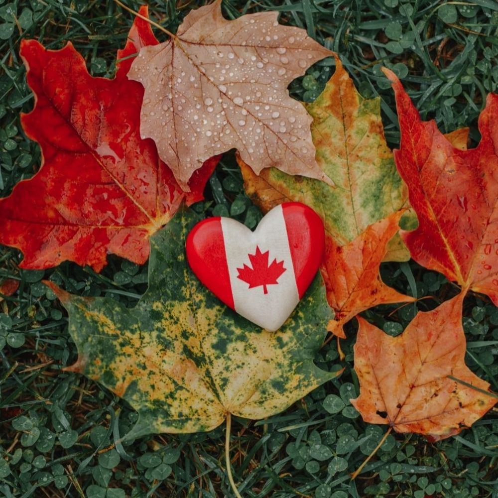 Edward Rayman 🇨🇦