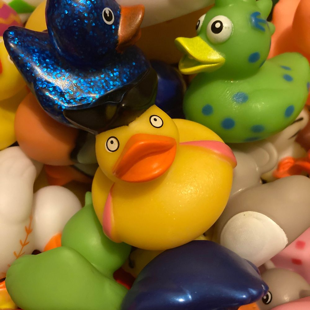 A Rubber Duck A Day