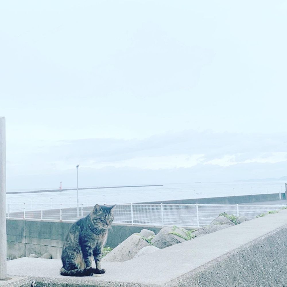 湯呑み