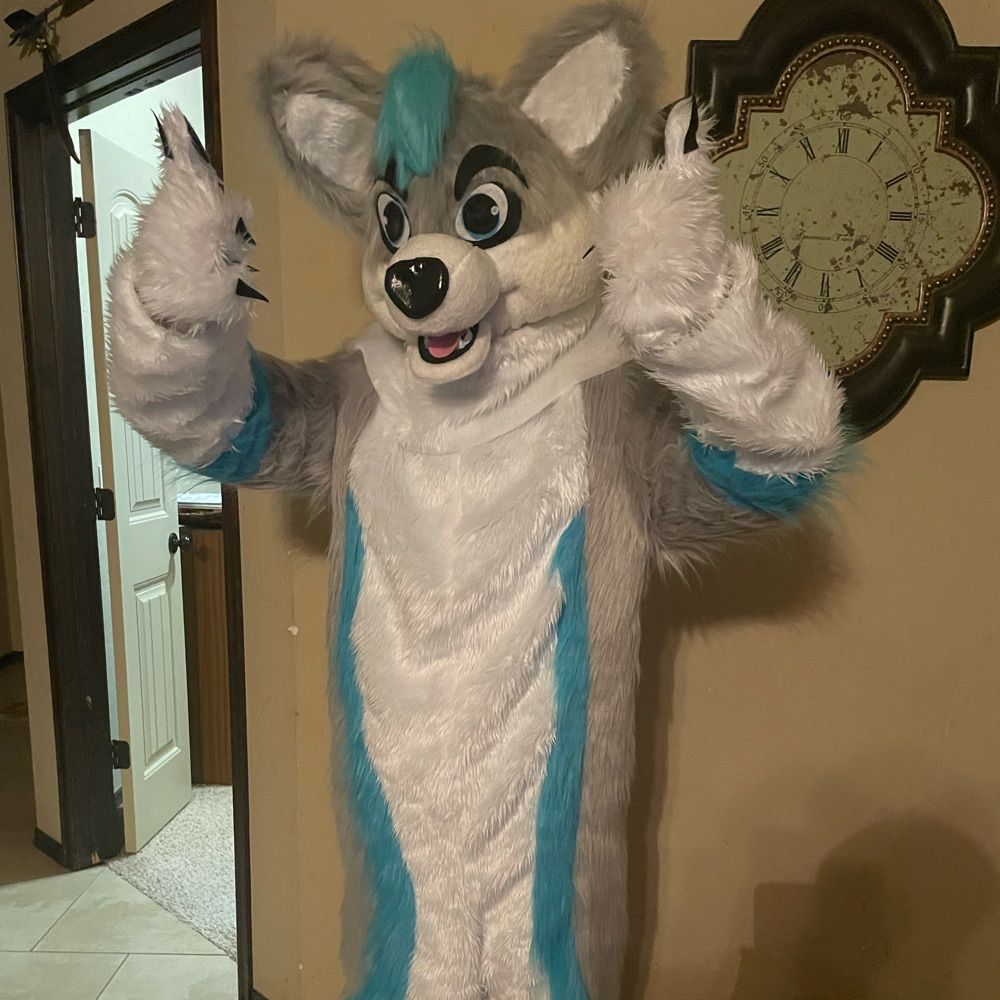 Robby_Wolfe