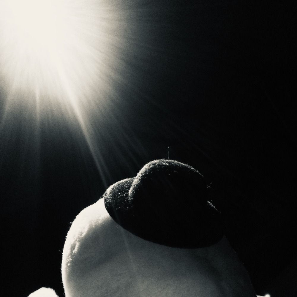 r033