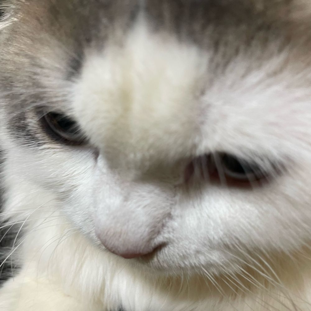 みぃ
