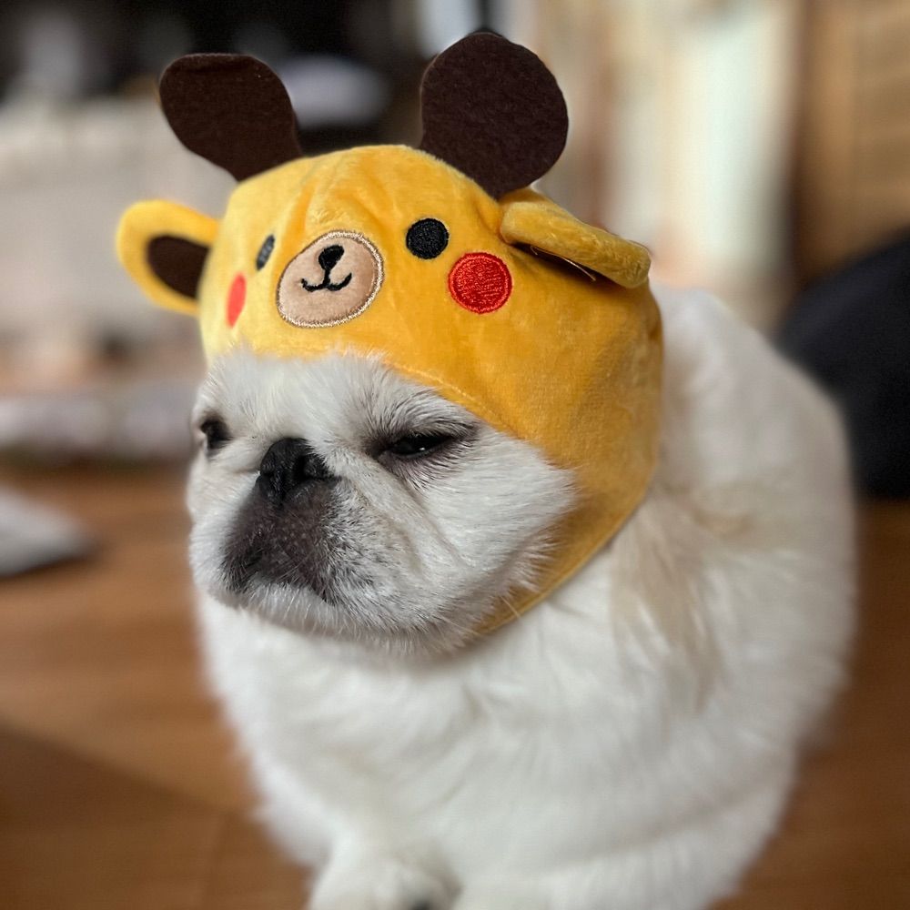 うー