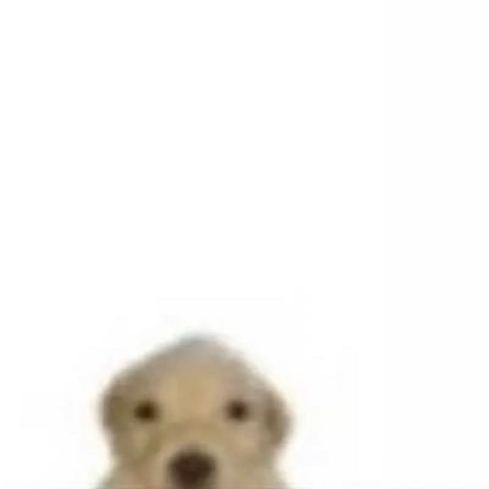 ain