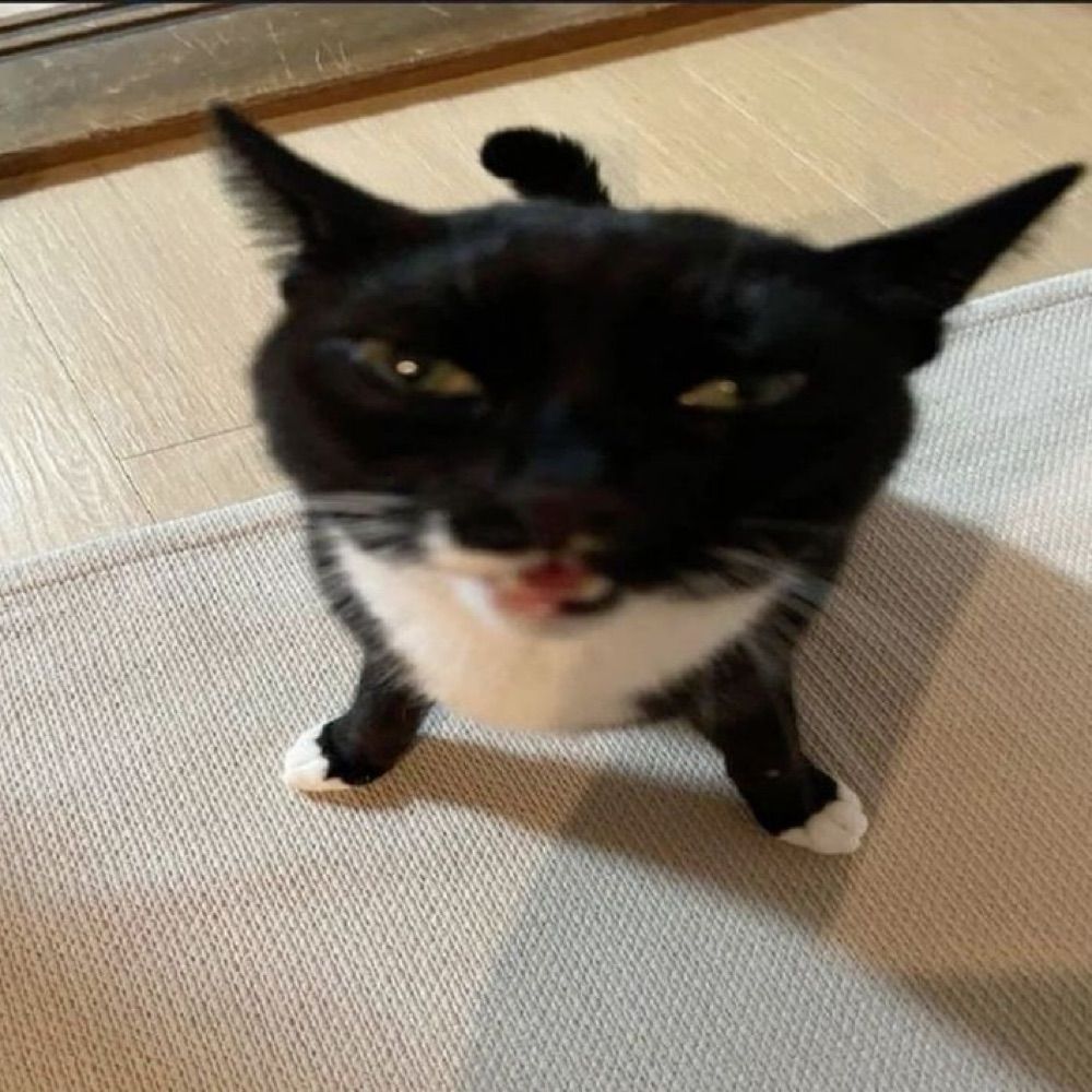 soup