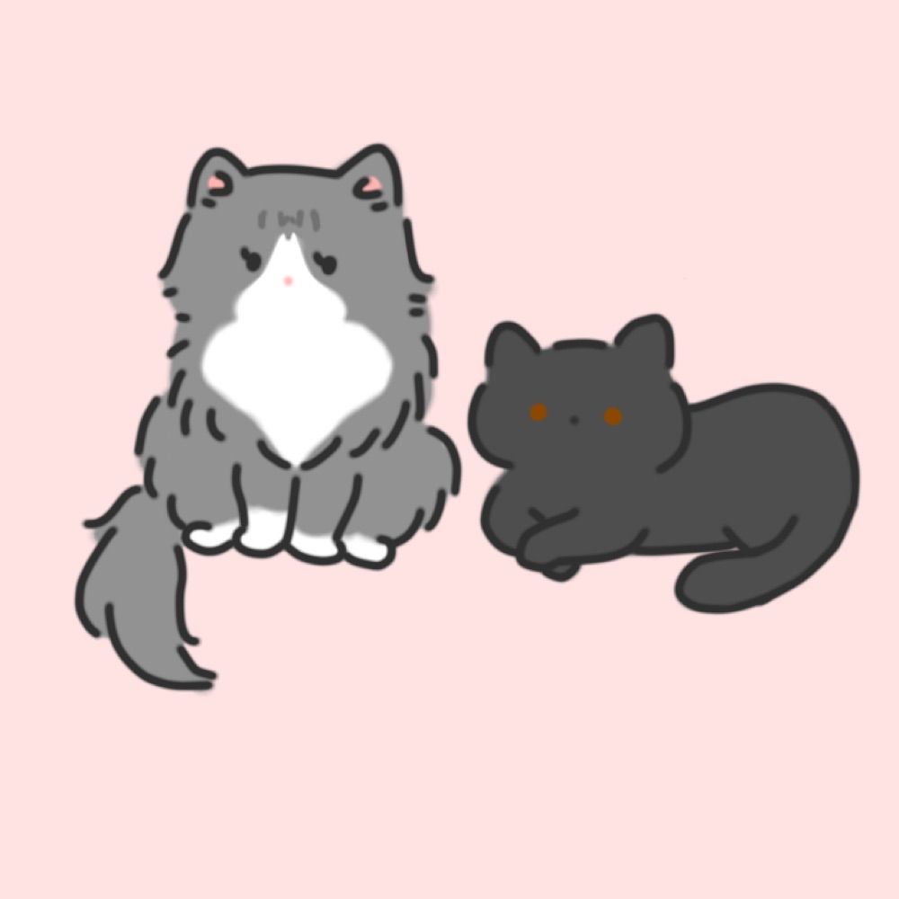 ほぇ
