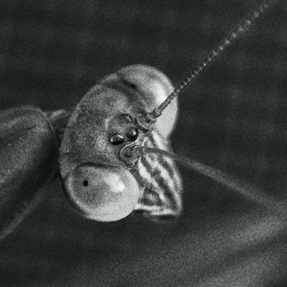 LowRes