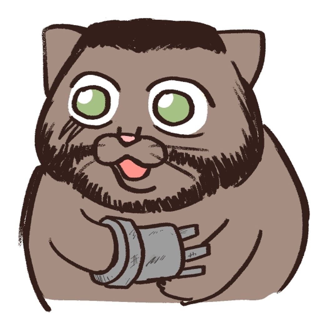司