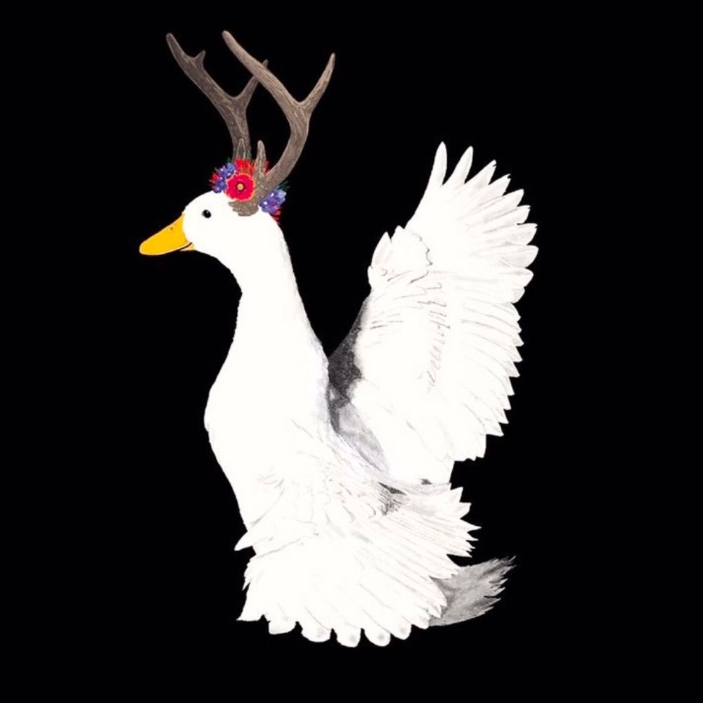 Ducks of the World Tree