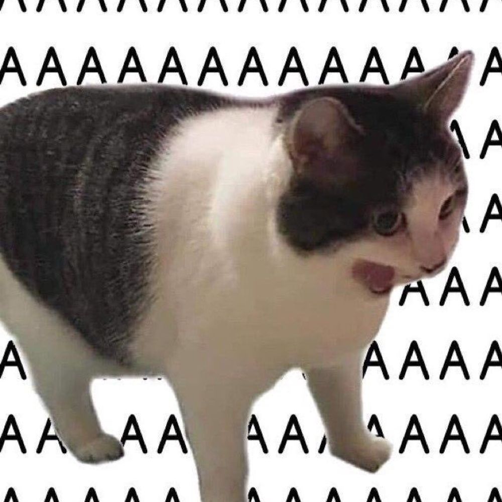 Sa