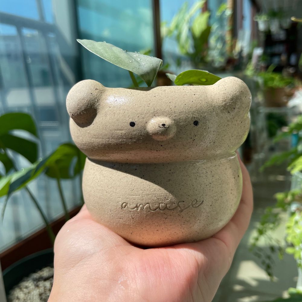 초로