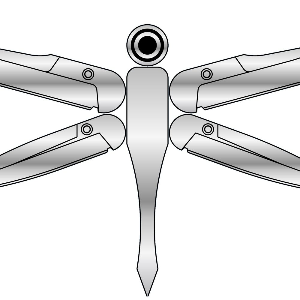 Dragonfly Scales 