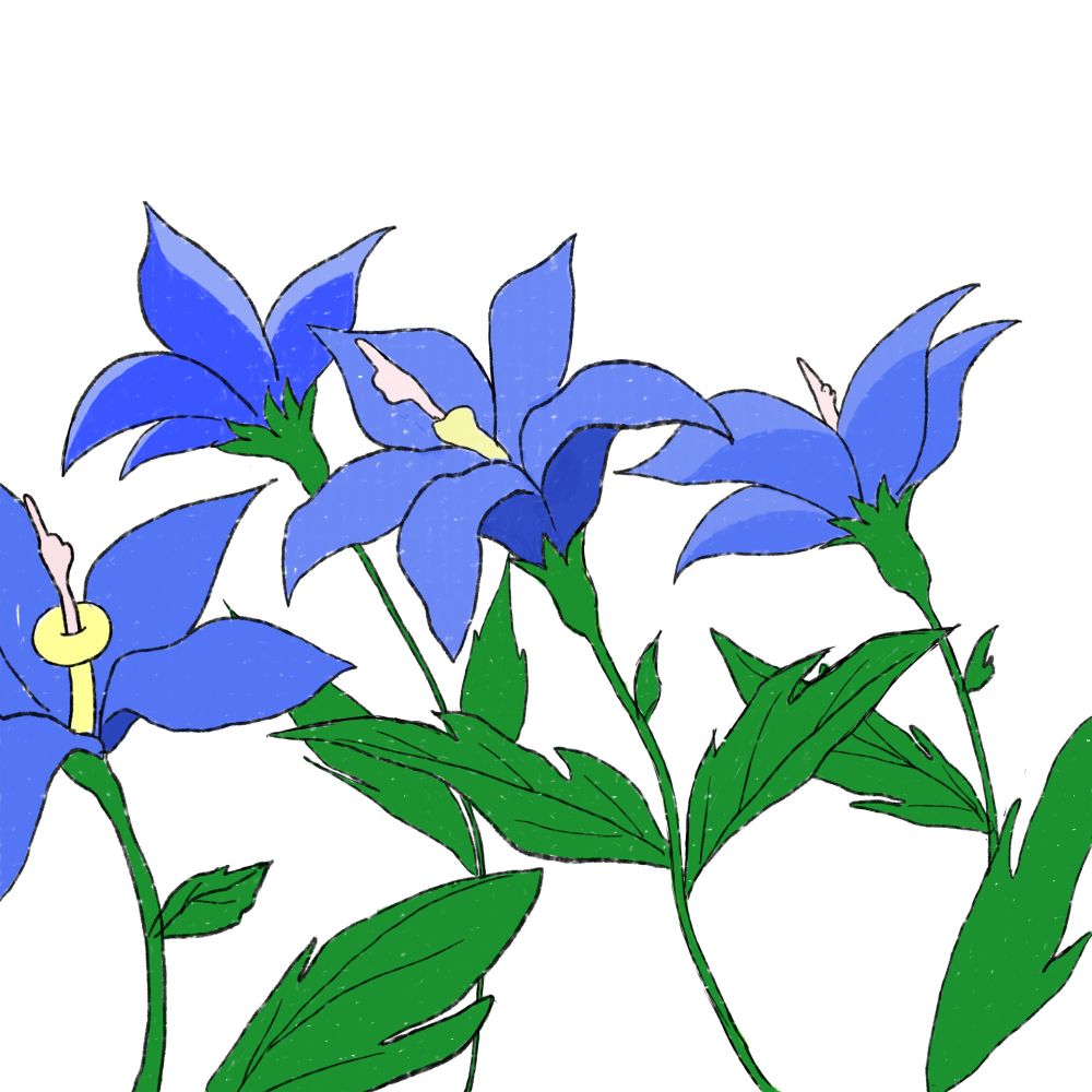 大地立つヒナ