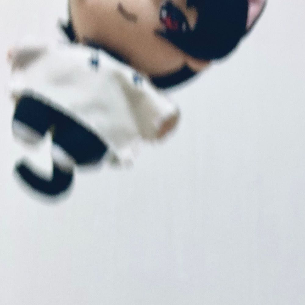 らっこ