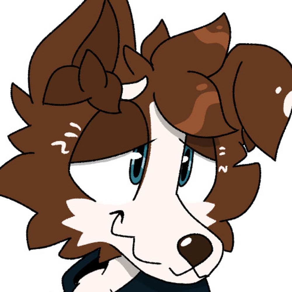 achaoticcollie.bsky.social profile picture