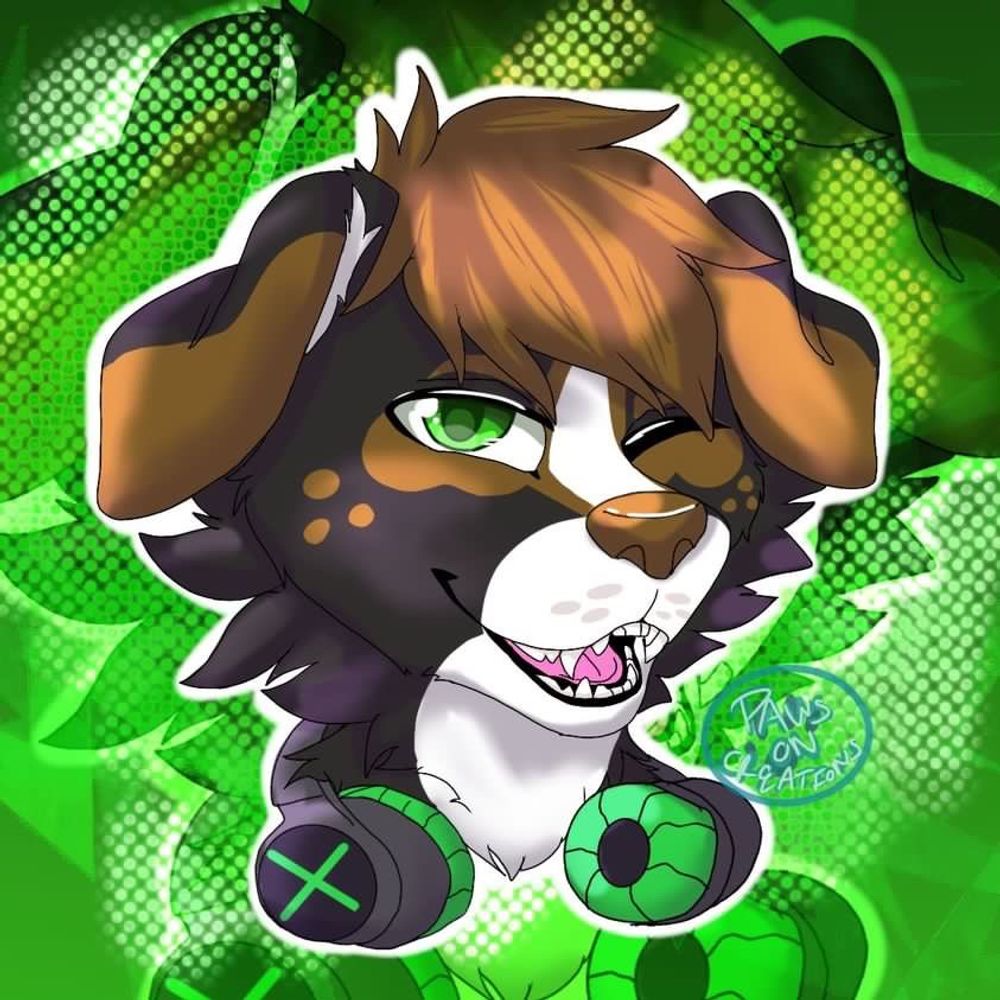 JackTheGayDog