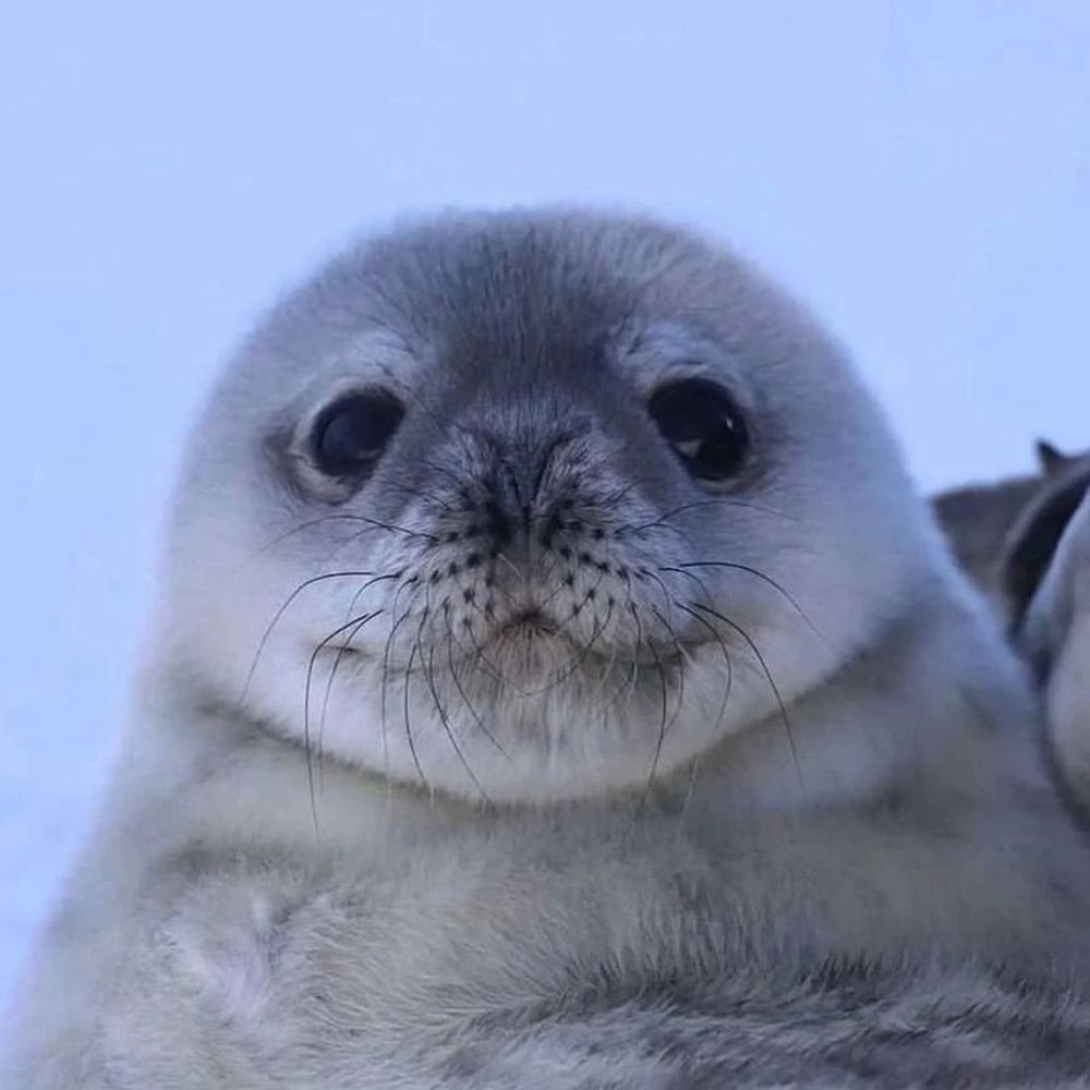 jelly!