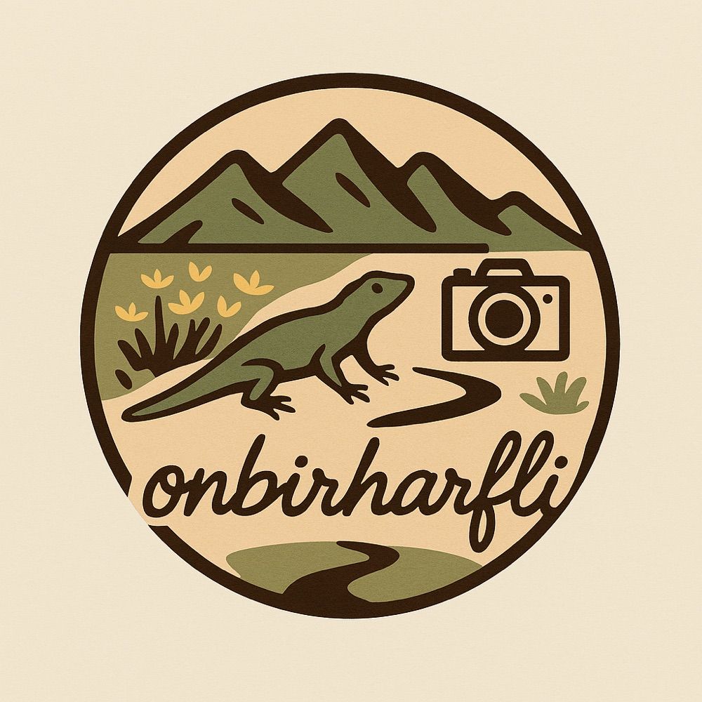 OnBirHarfli
