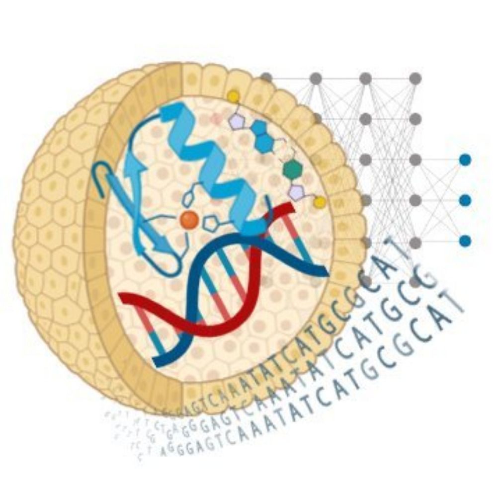 Ben-Tal Lab