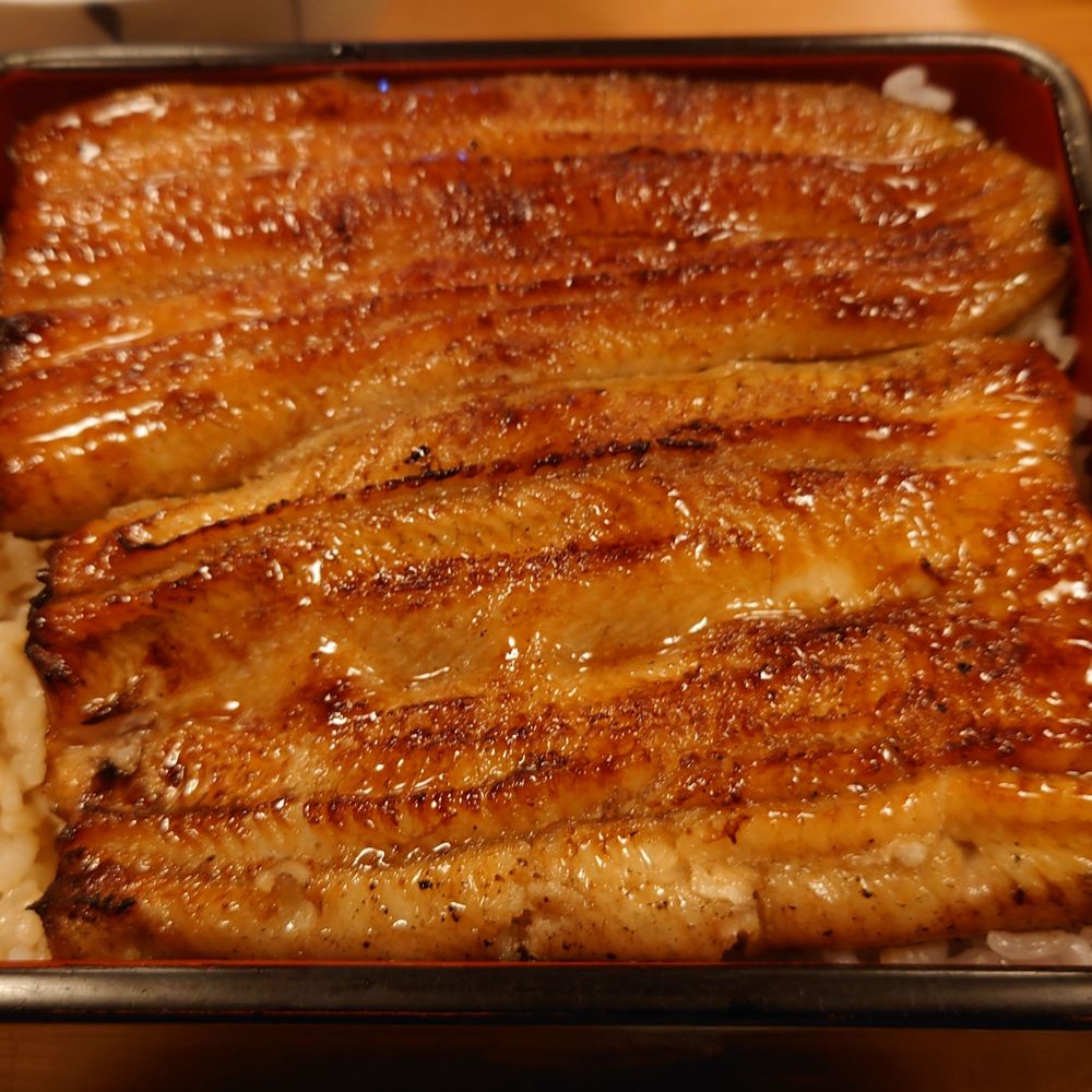 飛燕