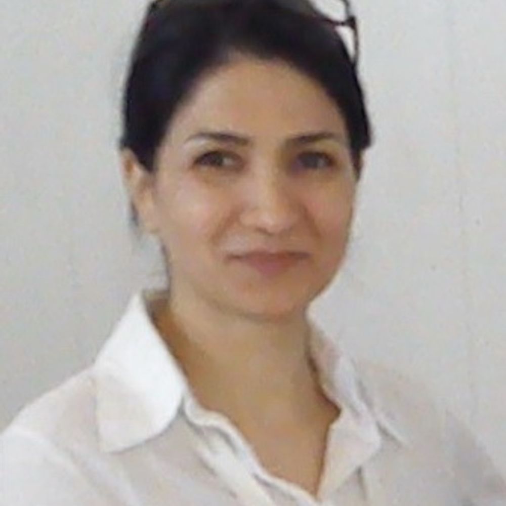 Dr. Fatemeh Akbari