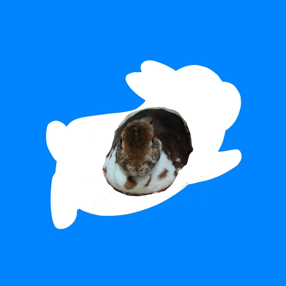 うさぎのちぃ子ママ