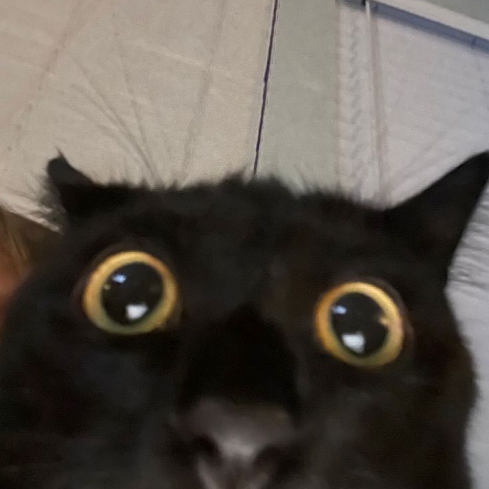 Clyde