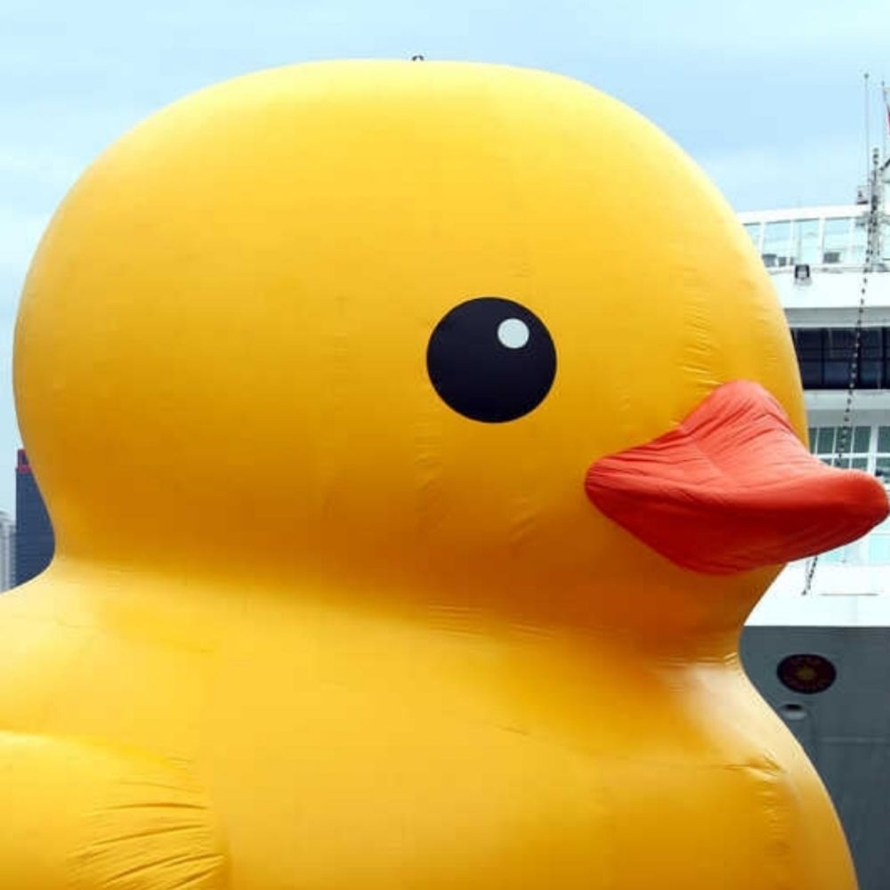 I'm ducky. 