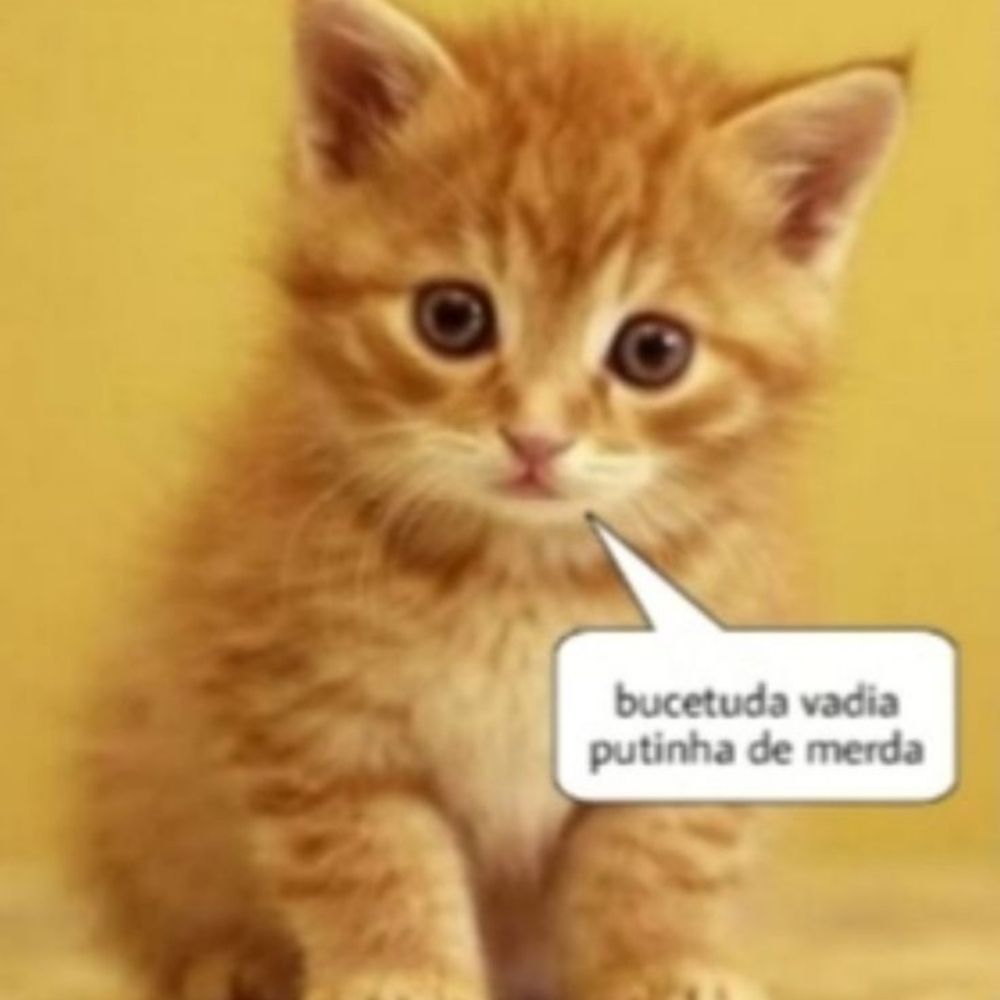 sasafadezas