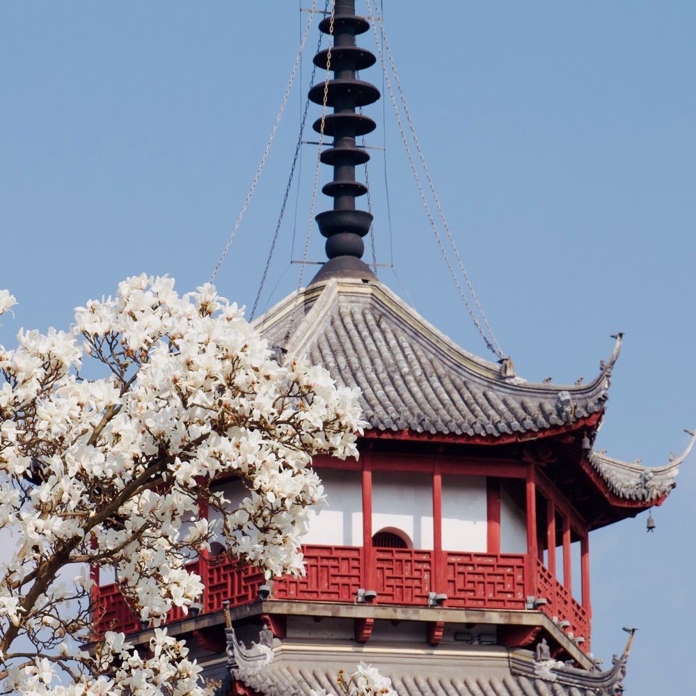 白露橫江