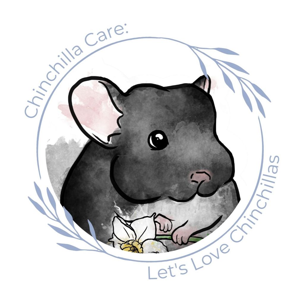Let's Love Chinchillas