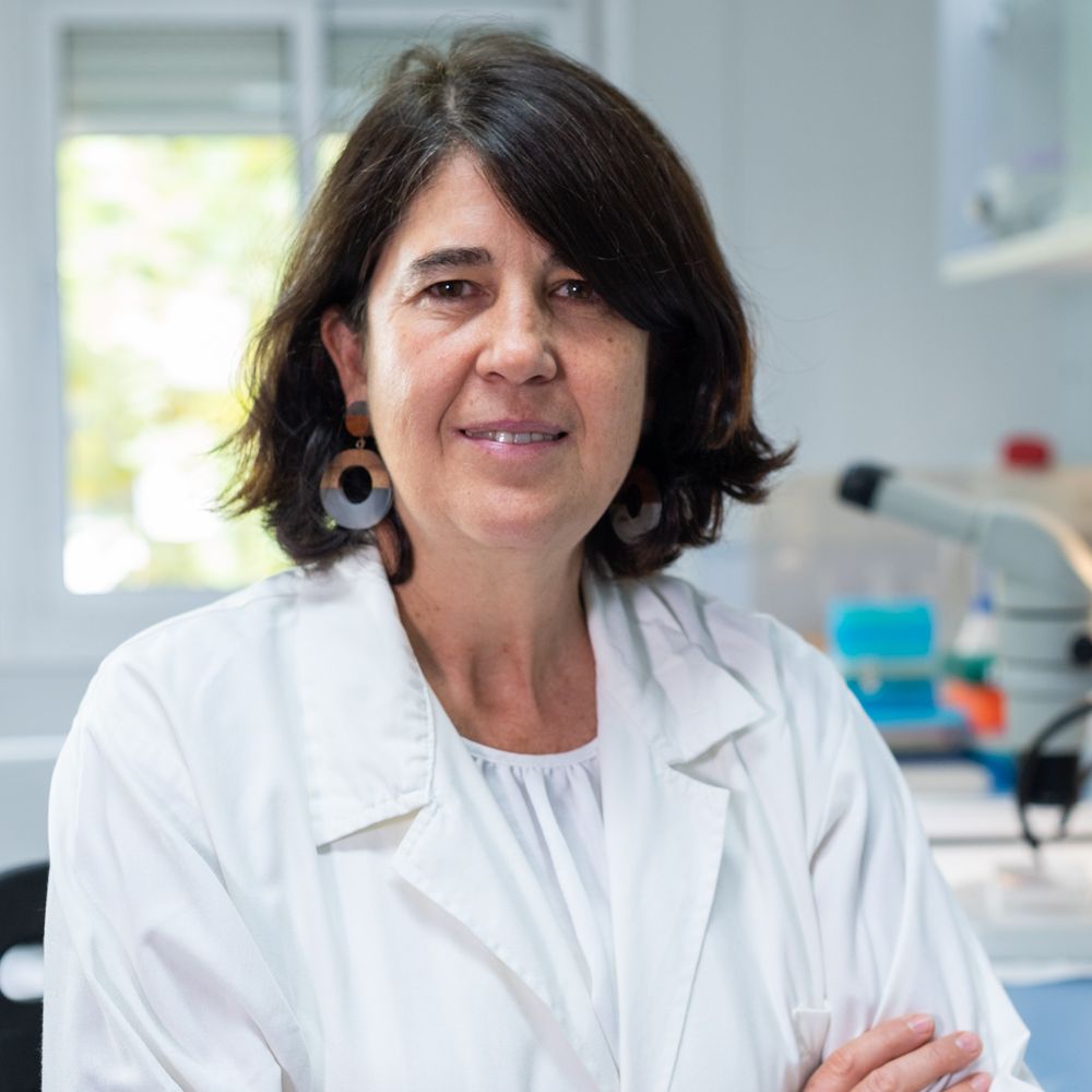 Aixa V. Morales