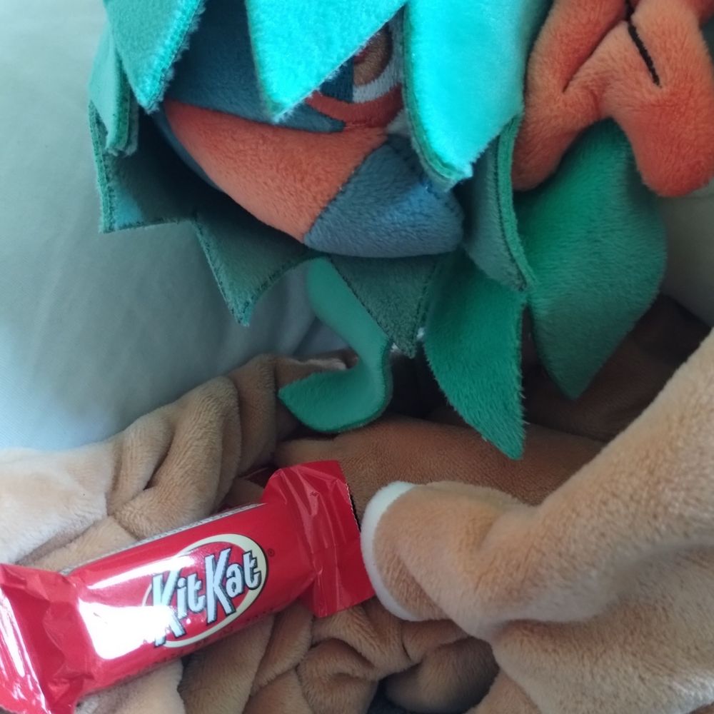 Riki_Tiki