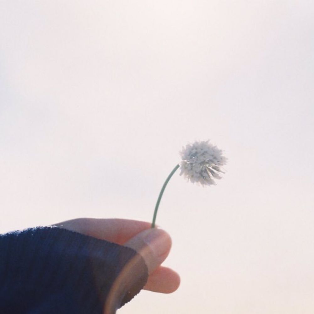 oyu.