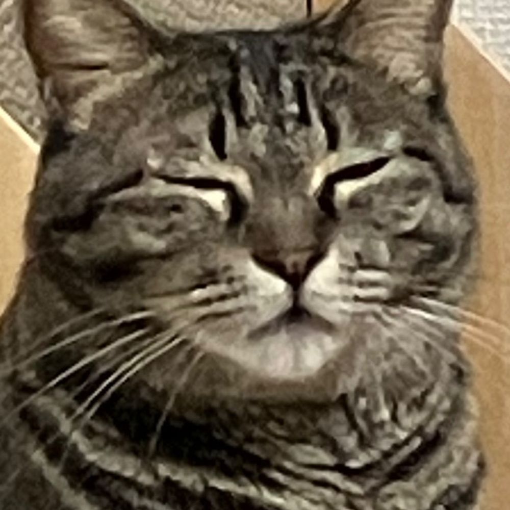 ちゃちゃ