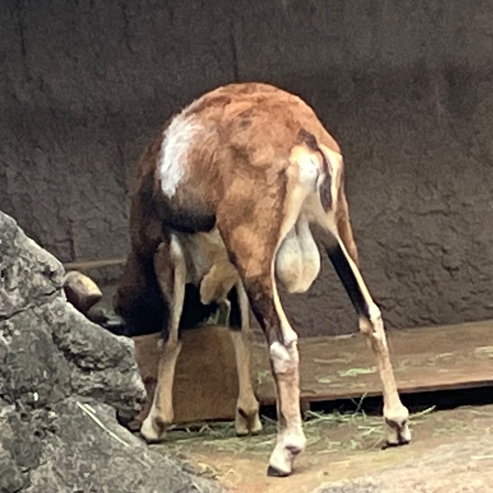 (あ)´ー`(と)