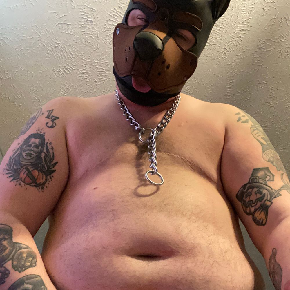 Bear